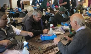 CRFG members gathered at a scion exchange